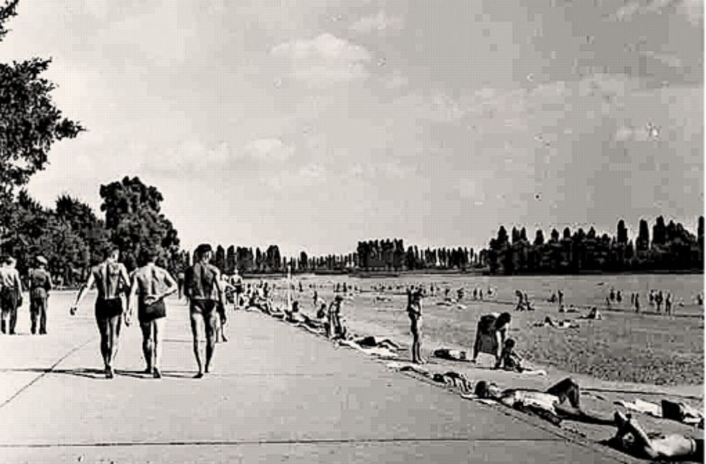 Bericht NeckarauAlmenhofNachrichten Februar 2026